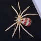 Luxury Red Spider Pronged Rhinestone Bling Brooch Shiny Cubic Zirconia Insect Corsage Pin Ark Jar Store